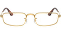 RB3927V Optics 2500