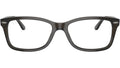 RB5428 Optics 8299
