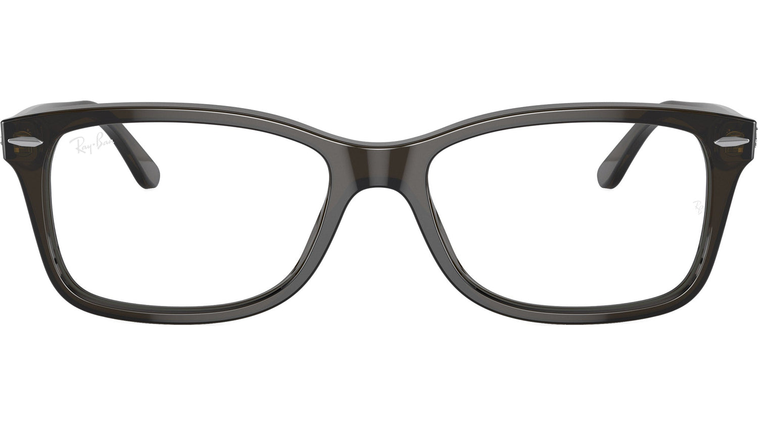 RB5428 Optics 8299