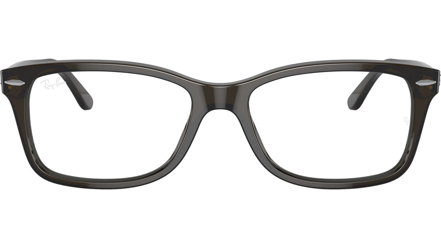 RB5428 Optics 8299