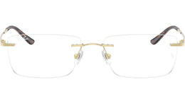 RB8781D Optics 1251