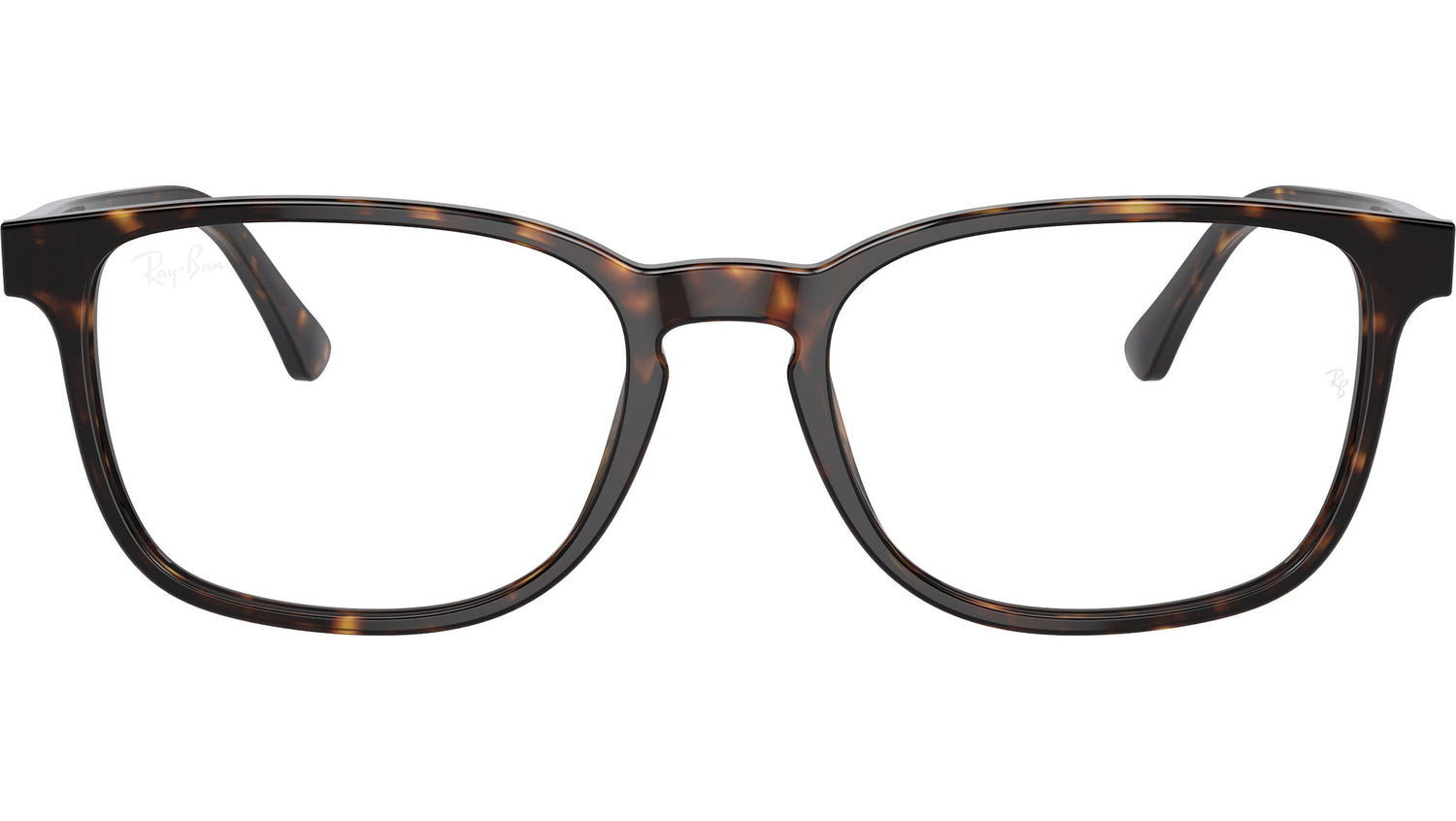 RB5418 Optics 2012