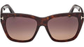 Flynn-02 FT1343 52T