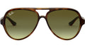 Cats 5000 RB4125 710/A6 light havana