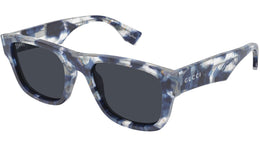GG2009S 002