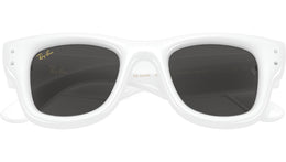 Wayfarer Puffer RB4940B 686387