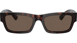 PR A03S 17N08T Tortoise