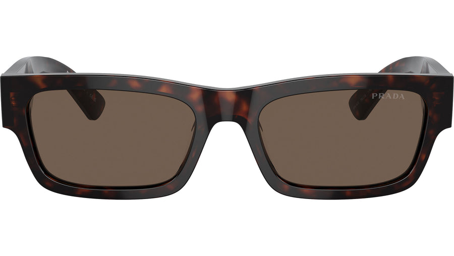 PR A03S 17N08T Tortoise