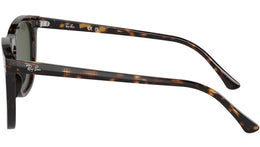 RB2210 902/31 Tortoise