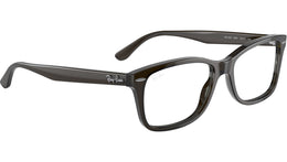 RB5428 Optics 8299