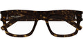SL 574 002 tortoise