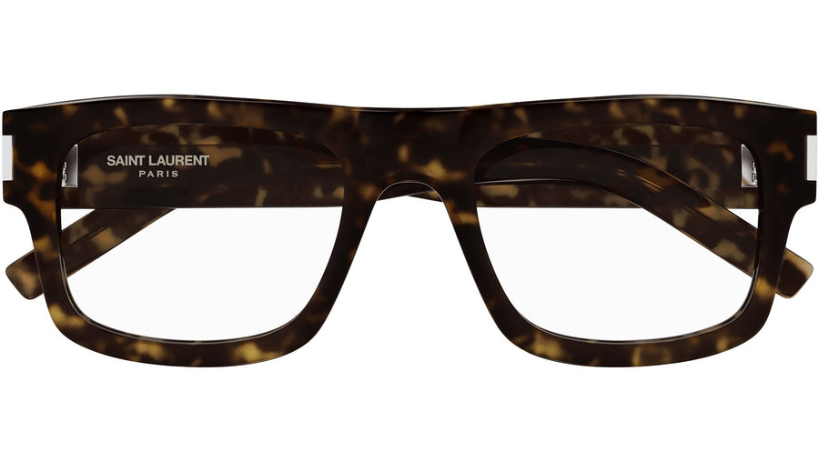 SL 574 002 tortoise