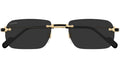 CT0498S 001 Gold Grey