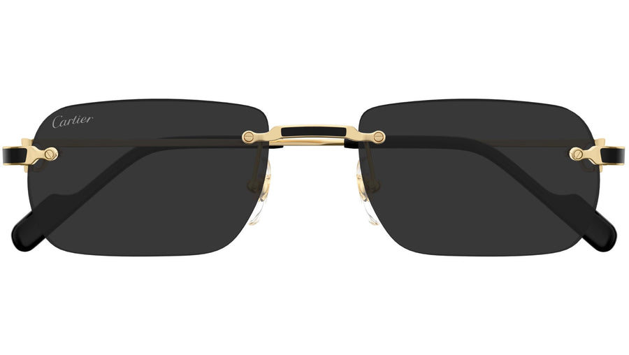 CT0498S 001 Gold Grey