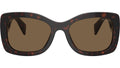 PR A08S 16N5Y1 Tortoise
