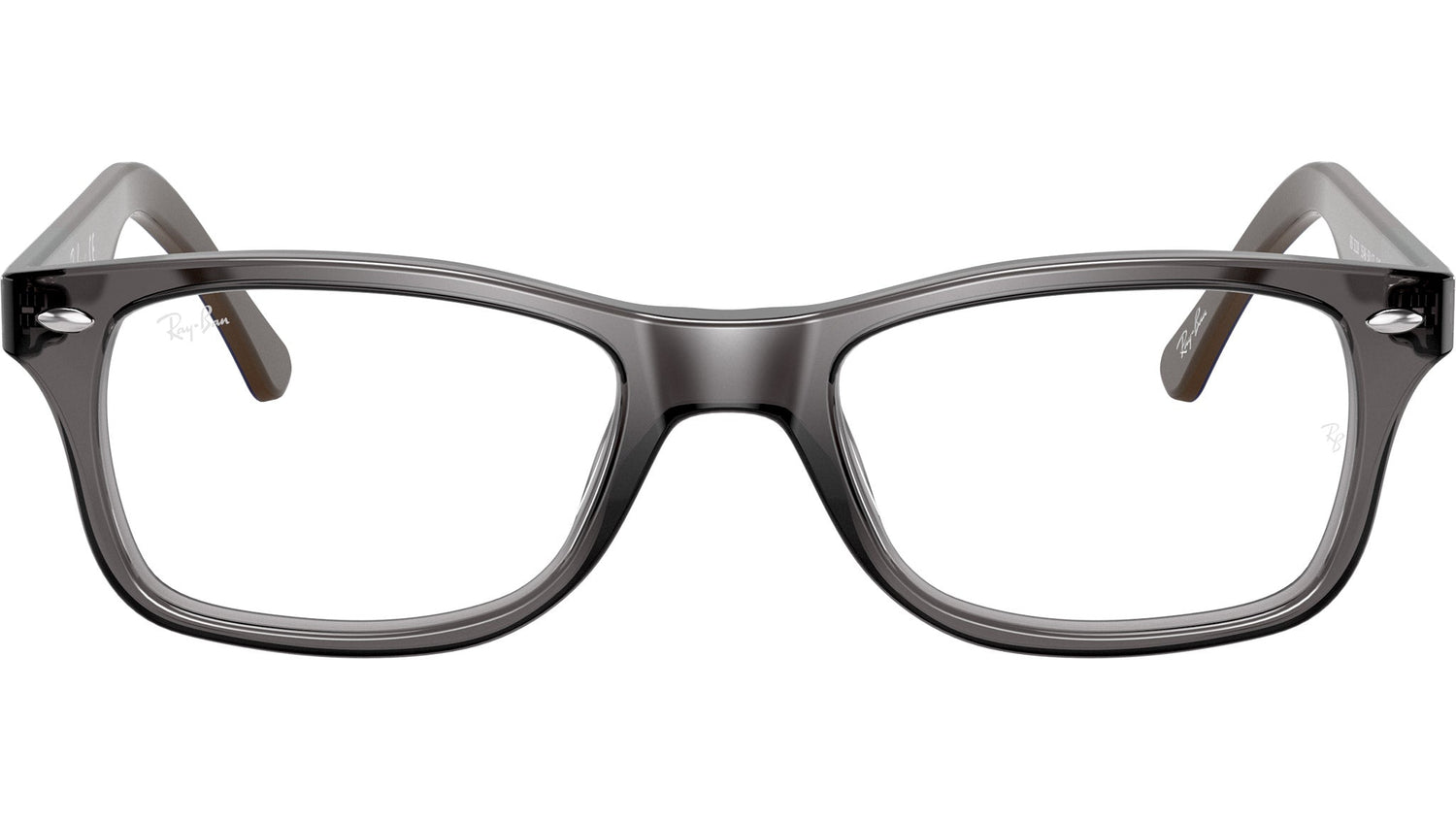 RB5228 Optics 5546