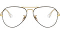 Aviator Optics RB6489 2890
