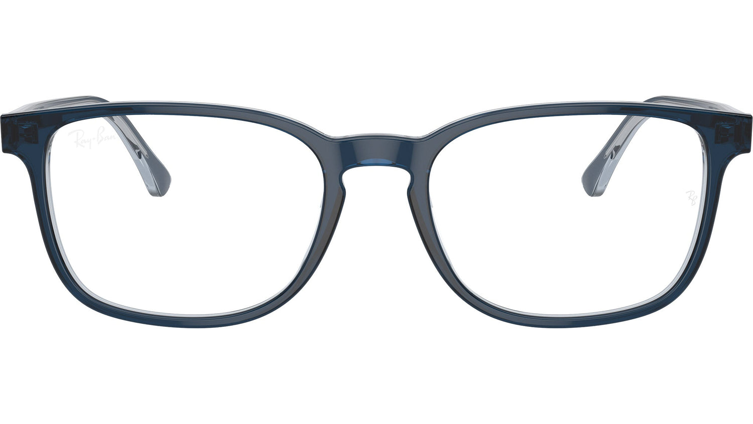 RB5418 Optics 8324