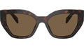 PR A09S 16N5Y1 Tortoise