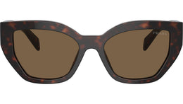 PR A09S 16N5Y1 Tortoise