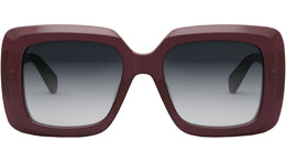 CELINE 3 Dots Brown Square Sunglasses