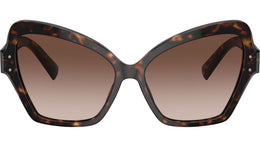 DG 4463 502/13 Havana Brown