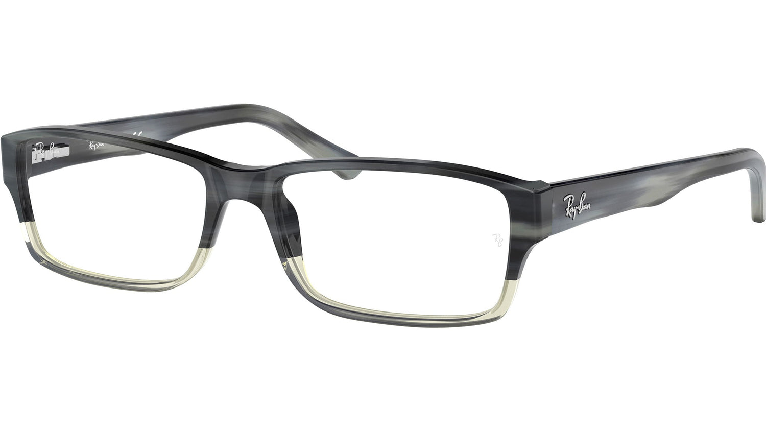 RB5169 Optics 5540