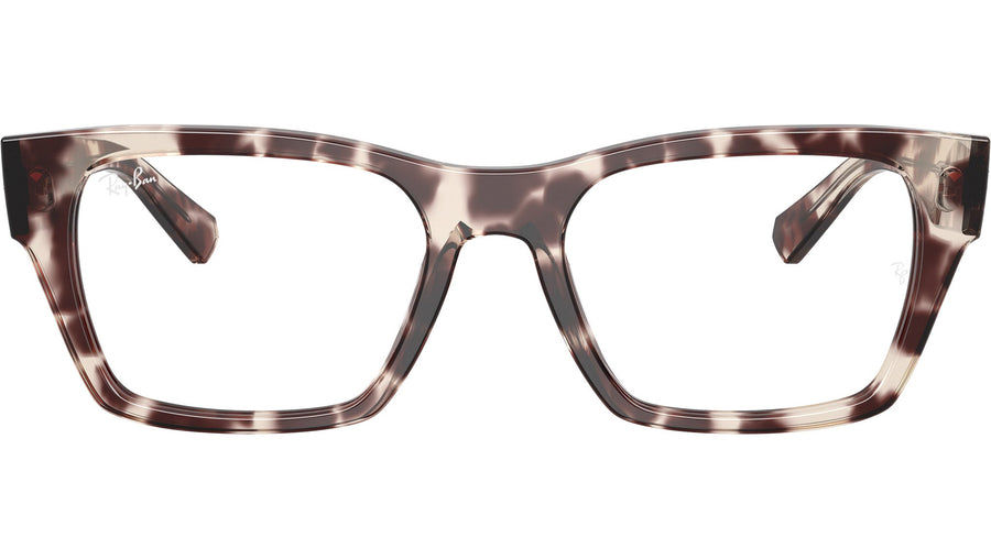 RB5448 Optics 8461