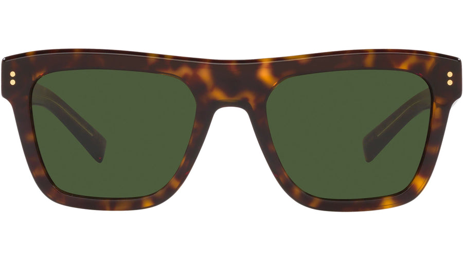 DG 4420 502/71 tortoise