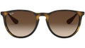 Erika Classic RB4171 matte tortoise