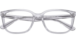 RB7248D Optics 8411