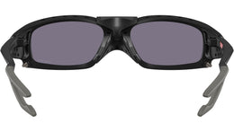 Plantaris SQ OO9529 01