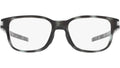 Latch Ss OX8114 02 tortoise