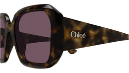 CH0300S 002