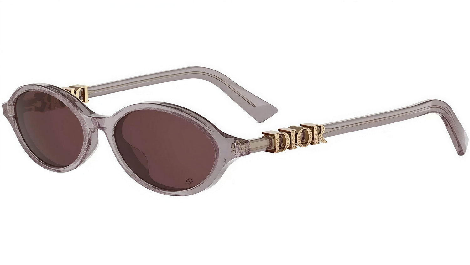 DiorTreasure R1I Shiny Black Oval Sunglasses