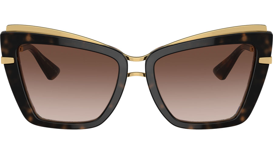 DG 4472 321713 Havana White Brown