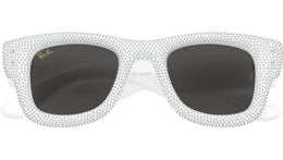 Wayfarer Puffer RB4940BP 686687