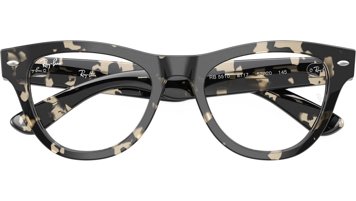 RB5510 Optics 8117