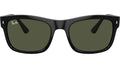 RB4428 601/31 Black
