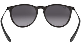 Erika Classic RB4171 matte black