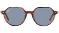 Thalia RB2195 954/62 striped havana