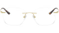 RB8783D Optics 1251