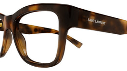 SL 677 003 Shiny Tortoise