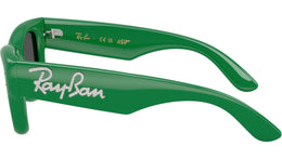 Wayfarer Puffer RB4940B 685987