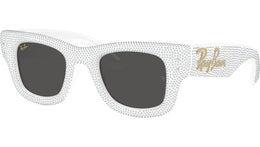 Wayfarer Puffer RB4940BP 686687