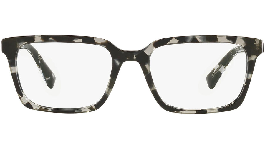 DG 3337 3172 tortoise
