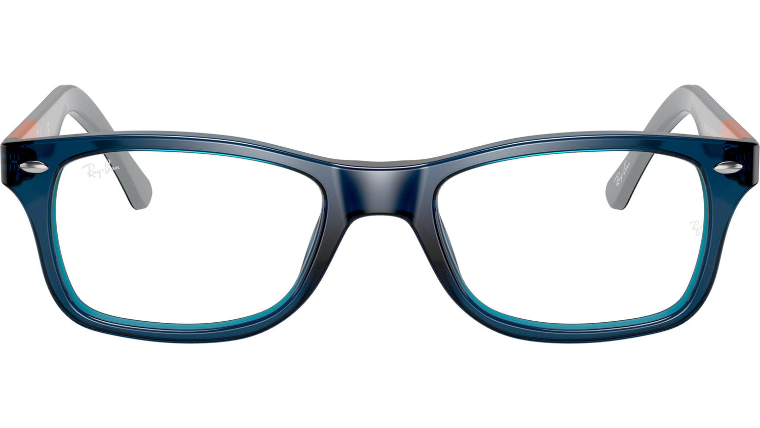 RB5228 Optics 5547