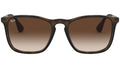 Chris RB4187 tortoise